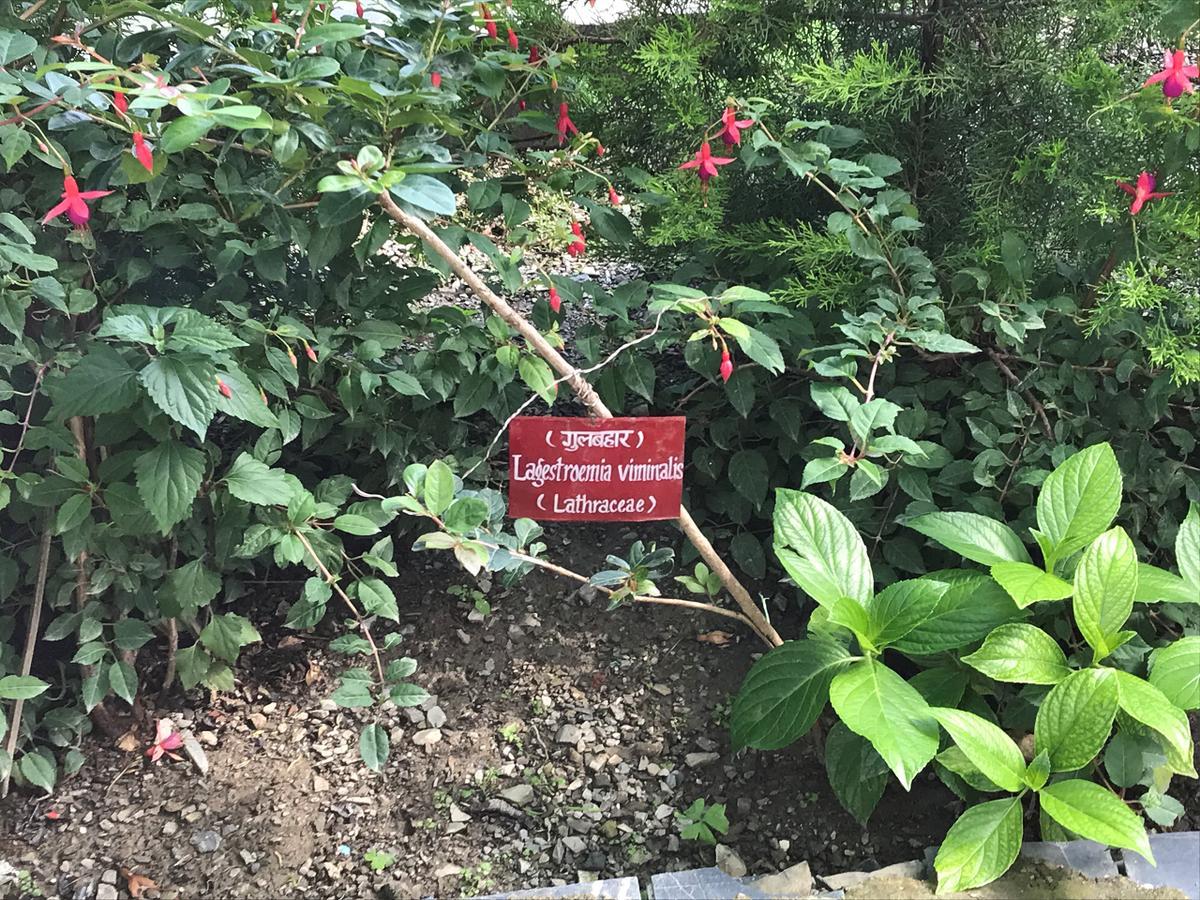 Welcomheritage Ashdale Nainital Esterno foto
